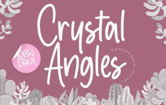 Crystal-Angles-Monoline-Script-Font.jpg