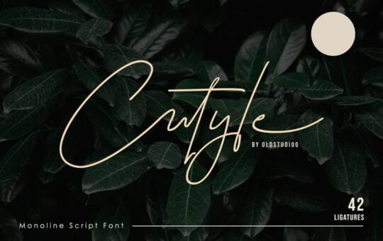 Cutyle-Monoline-Script-Font.jpg