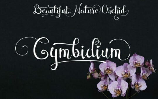 Cymbidium-Calligraphy-Font.jpg