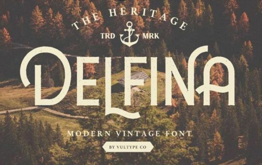 DELFINA-Vintage-Font-1.jpg