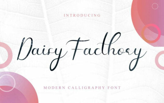 Daisy-Facthory-Calligraphy-Font-1.jpg