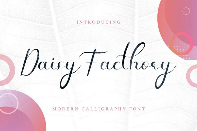 Daisy-Facthory-Calligraphy-Font-1.jpg