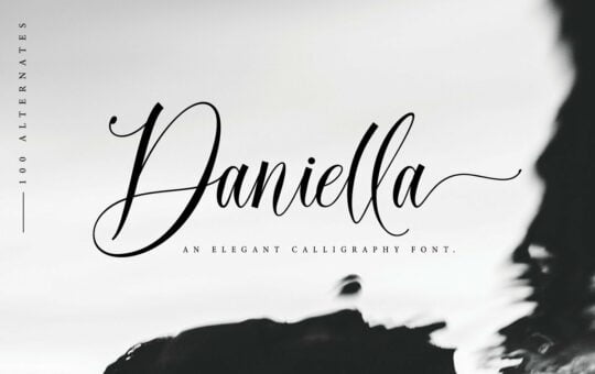 Daniella-Script-Calligraphy-Font-1.jpg