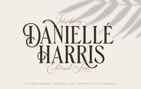 Danielle-Harris-Editorial-Font-1.jpg