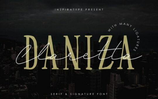Daniza-Claretta-Signature-Font-1.jpg