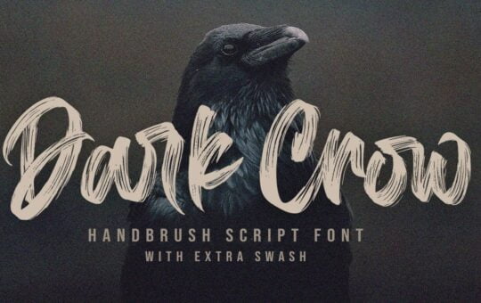 Dark-Crow-Brush-Script-Font-1.jpg