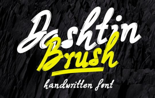 Dashtin-Brush-Script-Font-1.jpg