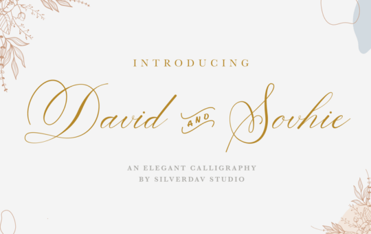 David-And-Sovhie-Script-Calligraphy-Font-1.png