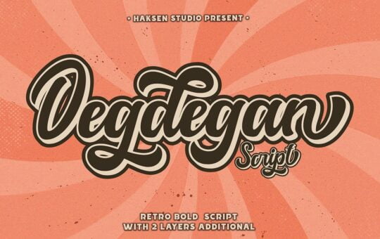 Degdegan-Bold-Script-Font-1.jpg