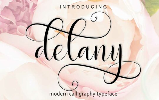 Delany-Script-Font-1.jpg