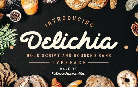 Delichia-Bold-Script-Font.jpg