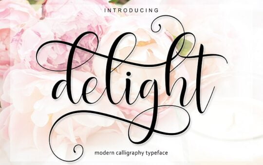 Delight-Script-Font.jpg