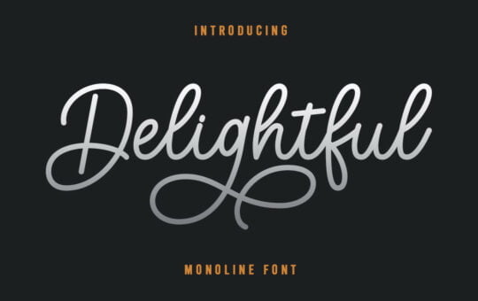 Delightful-Modern-Script-Font-1.jpg