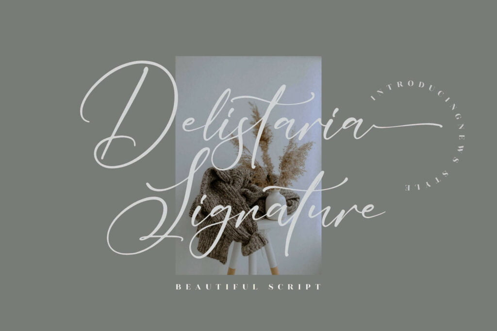 Delistaria-Signature-Script-Font-1-scaled-1.jpg