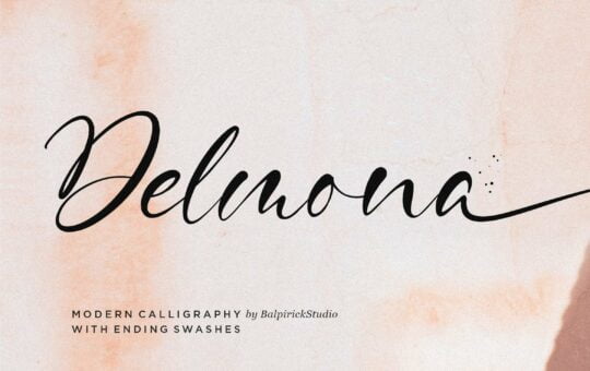 Delmona-Modern-Calligraphy-Font-1.jpg