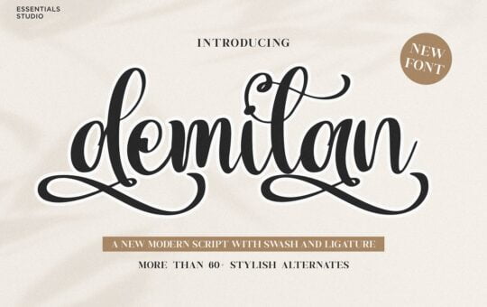 Demilan-Calligraphy-Font-1.jpg