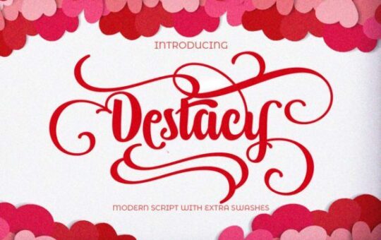 Destacy-Calligraphy-Script-Font-1.jpg