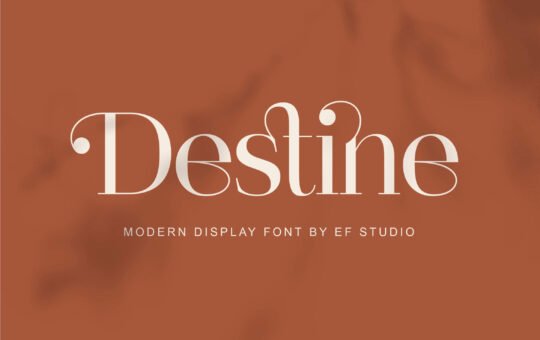 Destine-Modern-Serif-Font-1.jpg