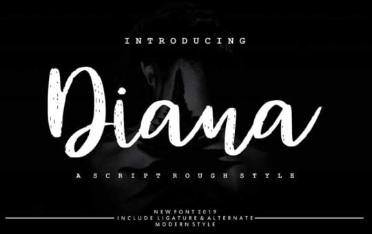 Diana-Rough-Font-1.jpg