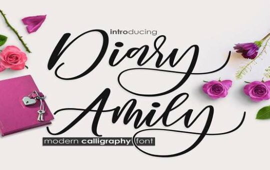 Diary-Amily-font.jpg