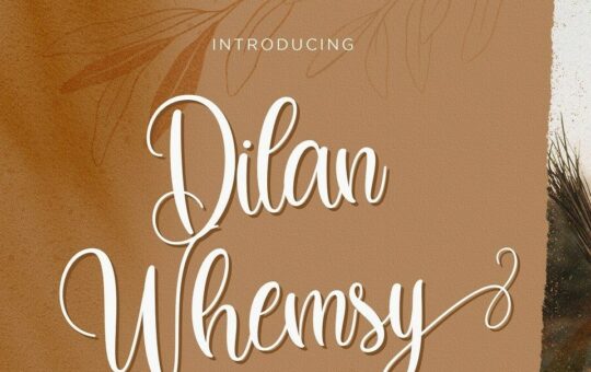 Dilan-Whemsy-Calligraphy-Script-Font-1.jpg