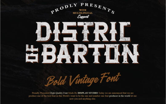 Distric-of-Barthon-Display-Font-1.jpg
