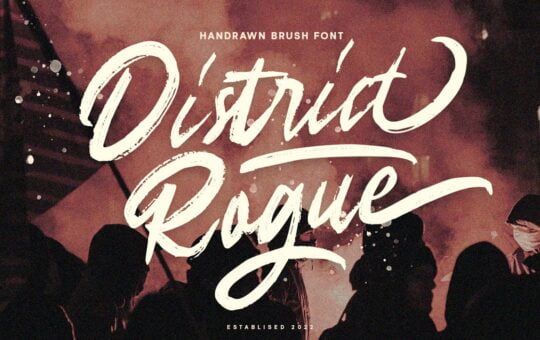 District-Rogue-Brush-Font-1.jpg