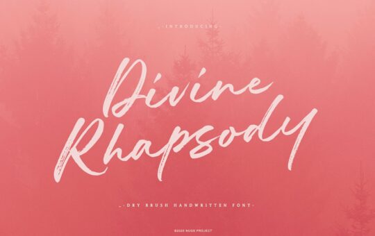 Divine-Rhapsody-Dry-Brush-Script-Font-1.jpg