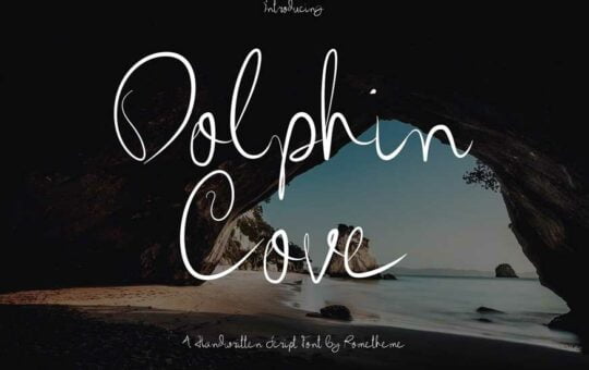 Dolphin-Cove-Font-1.jpg