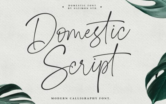 Domestic-Font.jpg