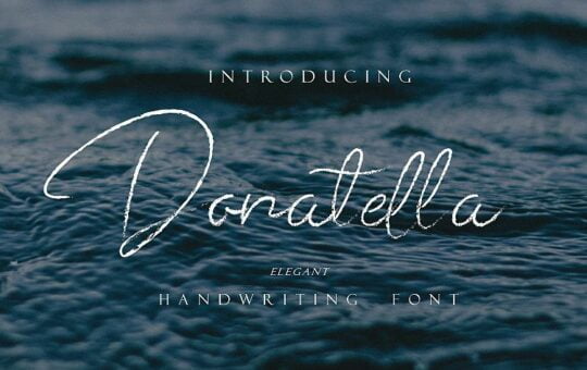 Donatella-Handwritten-Font-1.jpg