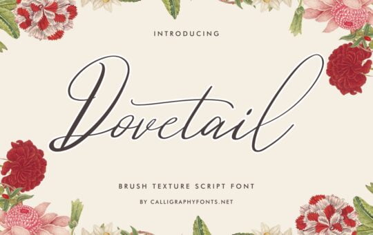Dovetail-Calligraphy-Script-Font.jpg