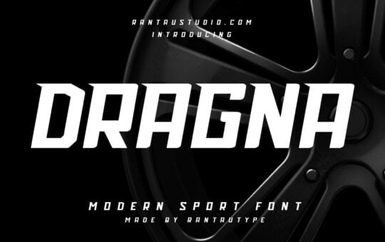 Dragna-Bold-Display-Font-1.jpg