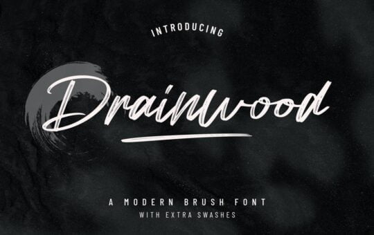 Drainwood-Modern-Brush-Font-1.jpg