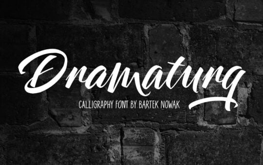 Dramaturg-Script-Brush-Font-1.jpg