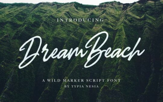 Dream-Beach-Script-Font.jpg