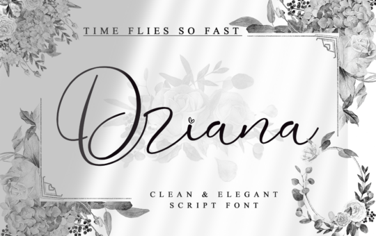 Driana-Fonts-7104150-1-1.png