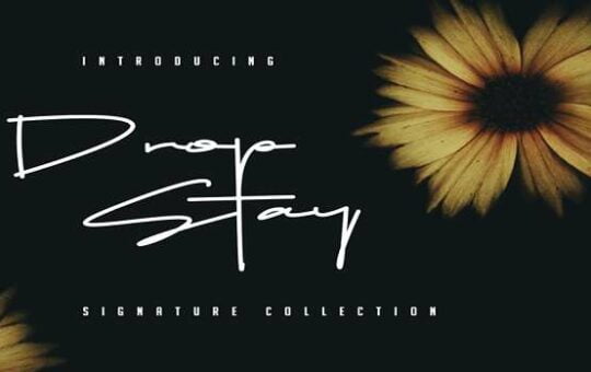 Drop-Stay-Font.jpg