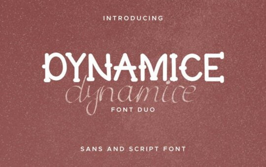 Dynamice-Font-Duo-1.jpg