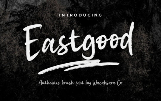 Eastgood-Modern-Brush-Font-1.jpg