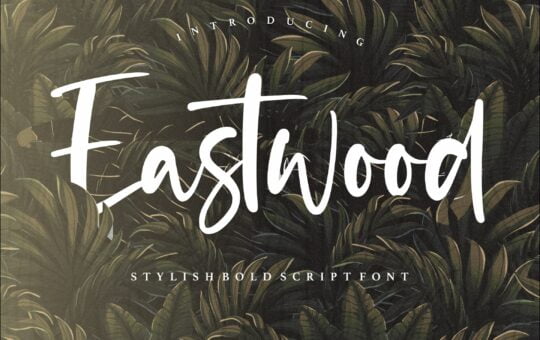 Eastwood-Handwritten-Script-Font-1.jpg