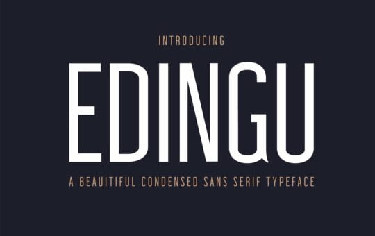 Edingu-Font.jpg