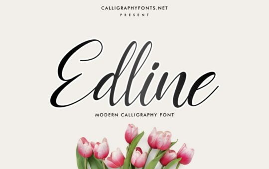 Edline-Modern-Calligraphy-Script-Font.jpg