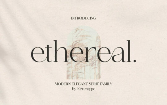 Ehereal-Elegant-Serif-Font-1.jpg