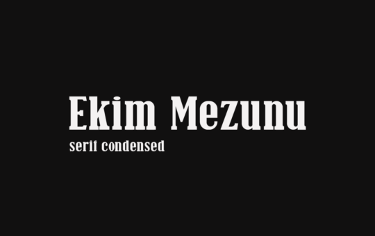 Ekim-Mezunu-Serif-Font-1.png