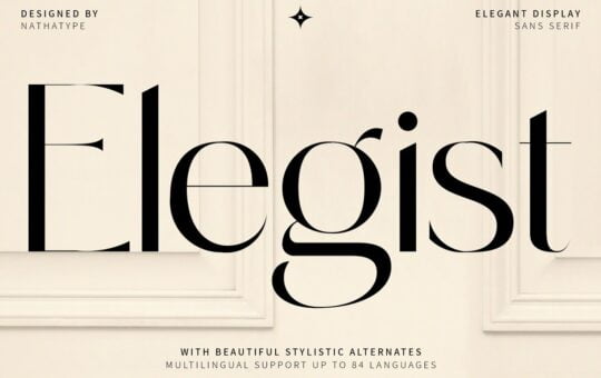 Elegist-Font.jpg