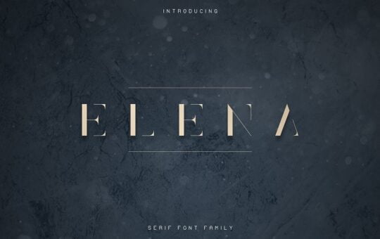 Elena-Luxe-Serif-Font.jpg