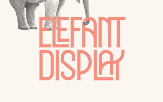 Elephant-Display-Font.jpg