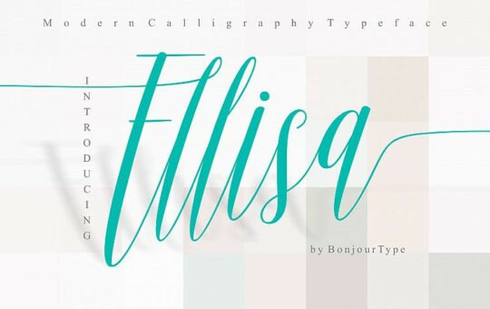 Ellisa-Script-Font.jpg
