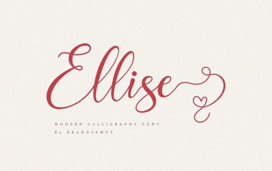 Ellise-Calligraphy-Script-Font.jpg